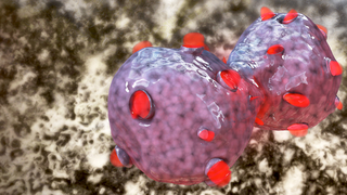 Scientists Are 3D Printing Whole Cancer Tumors From Scratch